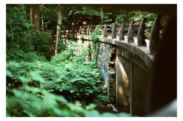 A stone bridge with a concrete railing curves through a lush green forest.