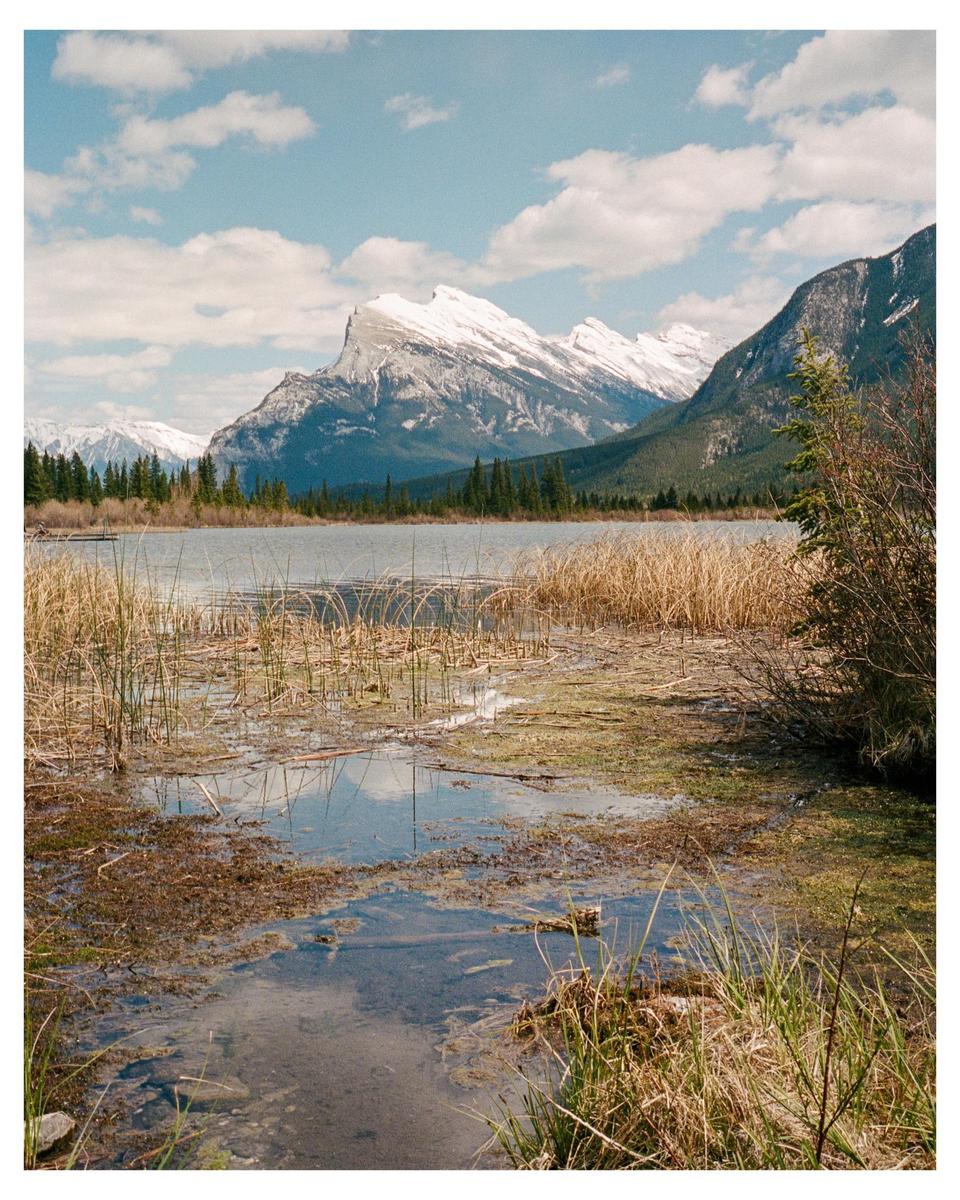 A lake with tall grass and reeds in the foreground reflects a cloudy sky and snow-capped mountains.
