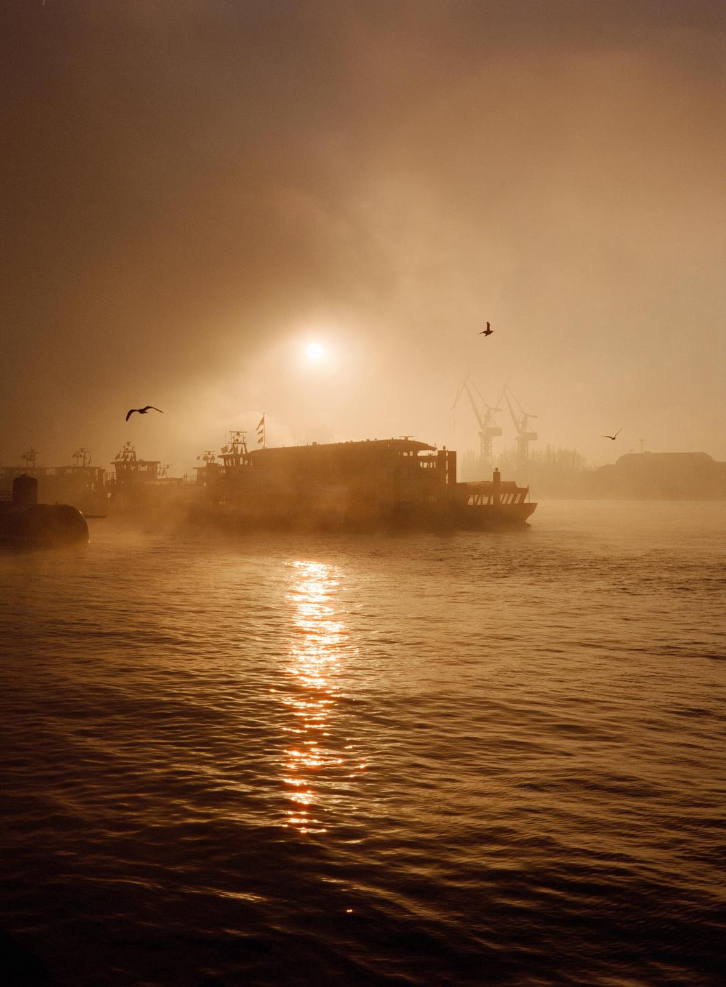 A ferry boat moves across the Elbe river at sunrise, with birds flying overhead and cranes visible in the hazy distance.