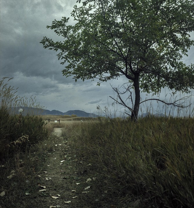 A dirt path leads through tall grass towards mountains under a cloudy sky, with a tree on the right.