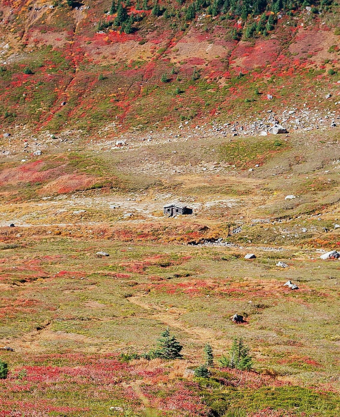 A small stone cabin sits in a vast, colorful mountain landscape with scattered trees.