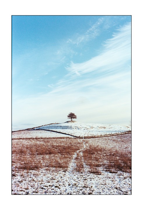 A lone tree stands on a snow-covered hill under a blue sky with wispy clouds.