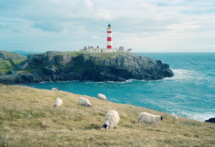 A red and white striped lighthouse stands on a rocky island with sheep grazing on a grassy hill in the foreground and blue ocean surrounding the island.