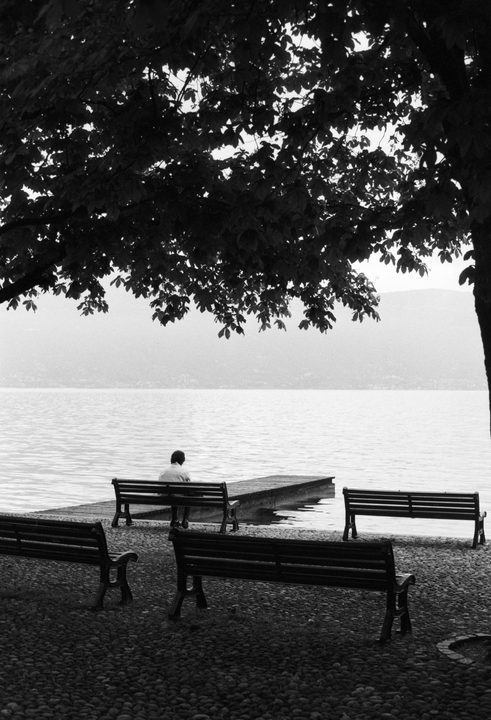 A man sits on a bench by a lake under a large tree, with other empty benches nearby.