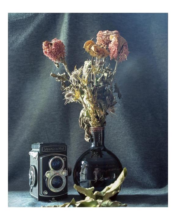 A vintage camera sits next to a vase of dried flowers on a draped surface.