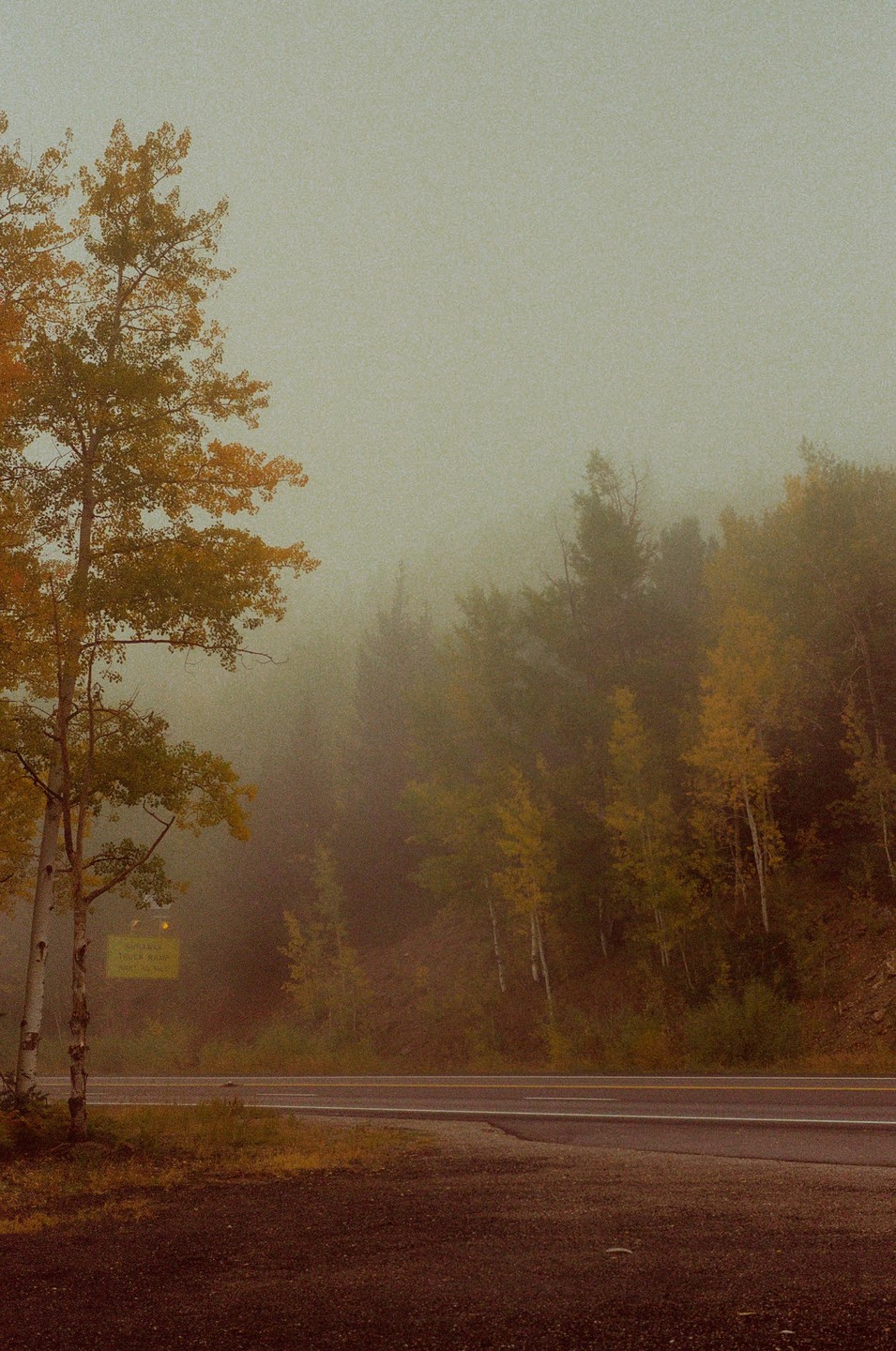 A road runs alongside a forest with autumn foliage, partially obscured by fog.