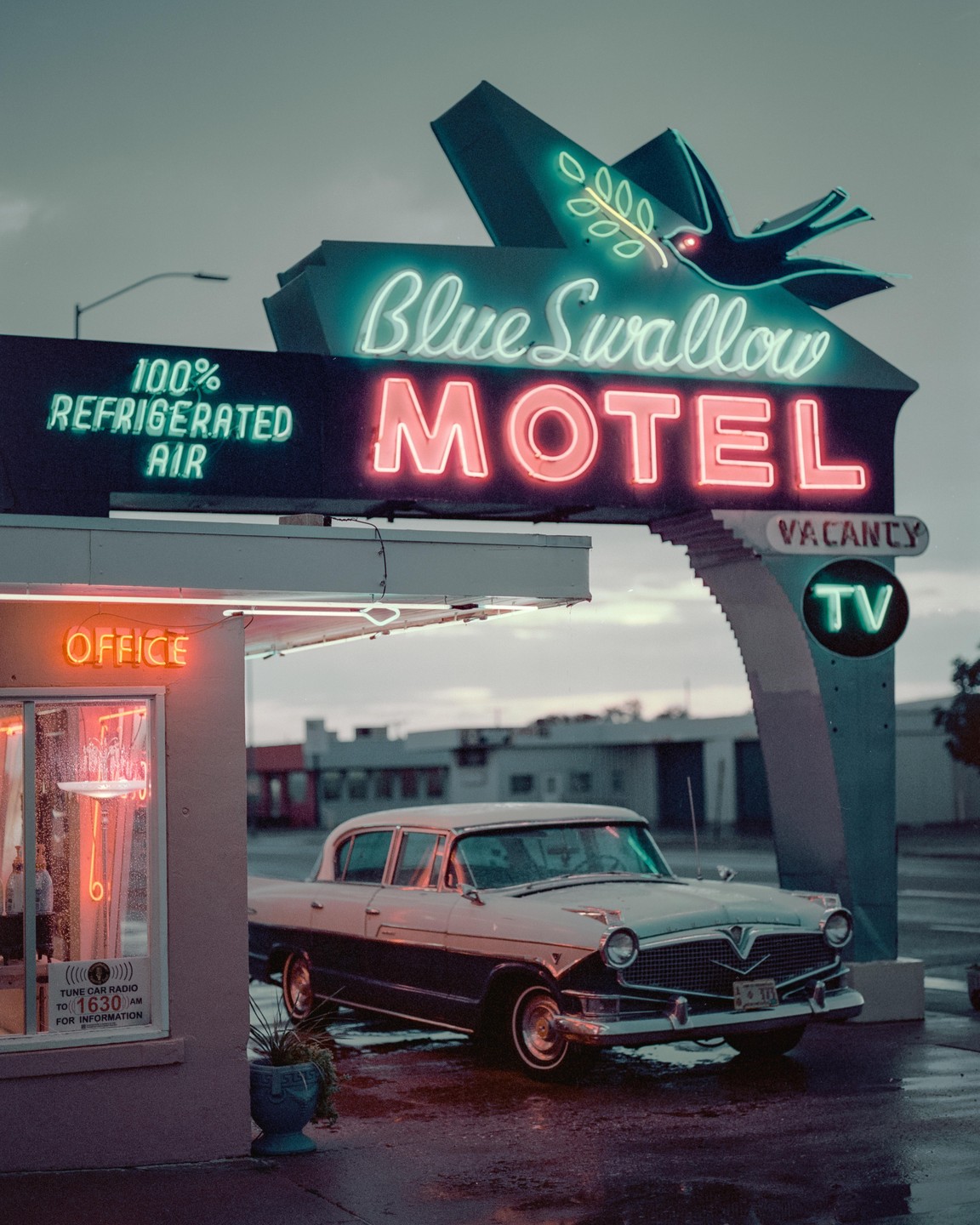 A vintage car is parked in front of the Blue Swallow Motel sign at dusk.