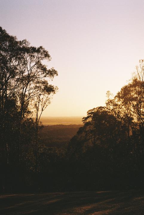 A golden sunset illuminates a valley of trees from a high vantage point.