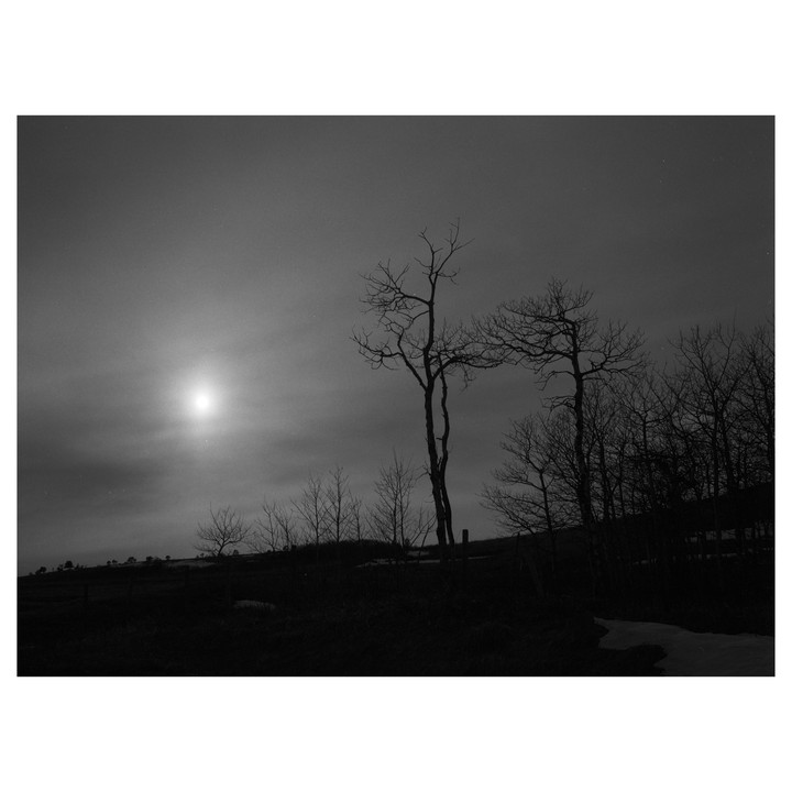 The sun shines brightly over a dark landscape with bare trees and a patch of snow.