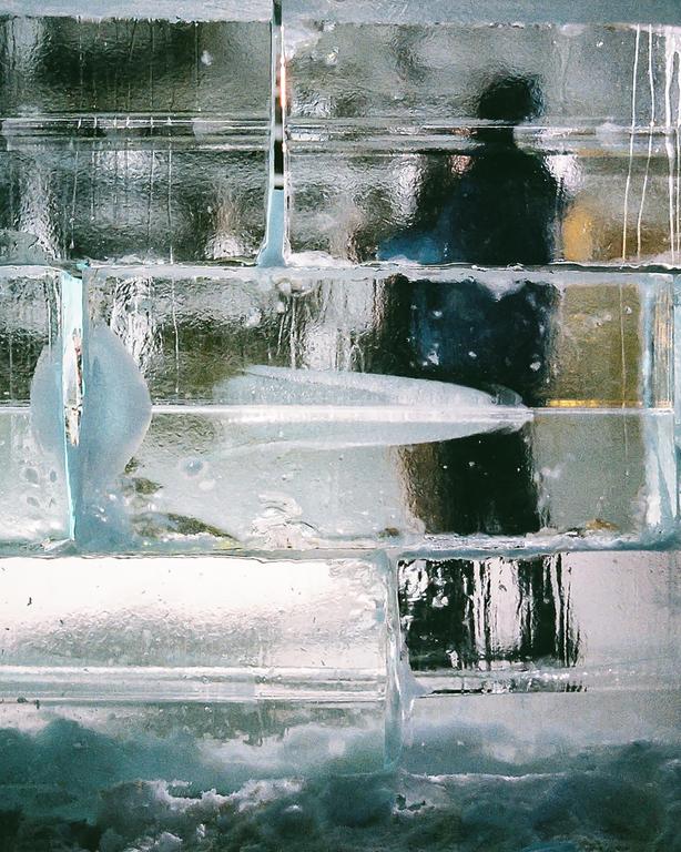 A person's silhouette is visible through a wall of ice blocks.