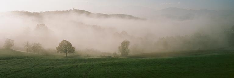 A panoramic landscape shows a green field in the foreground, with trees and hills shrouded in fog in the background.