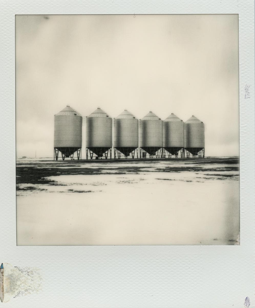 Six grain silos stand in a row on a flat, snow-covered landscape under a bright sky.