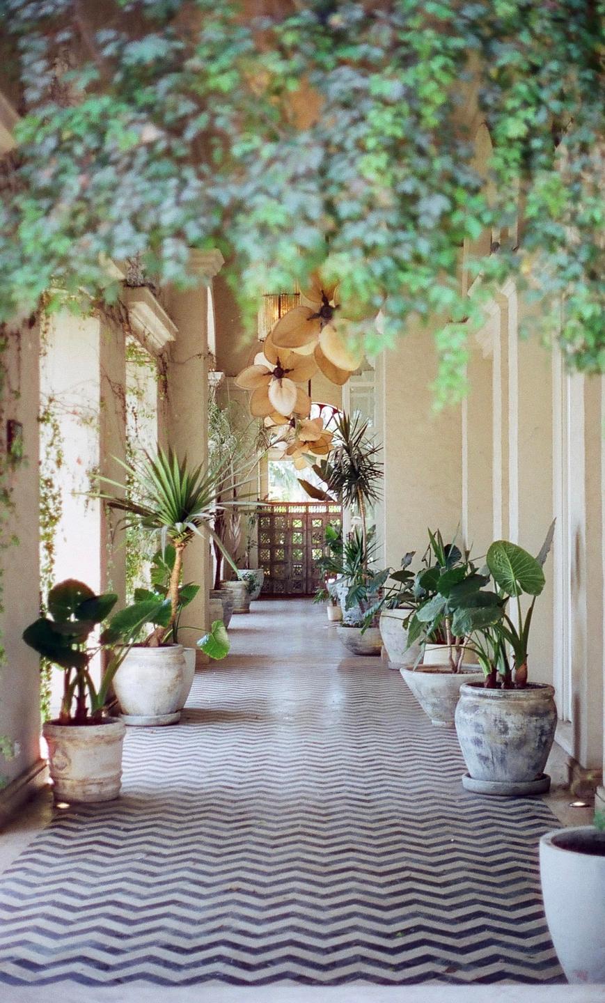 A long hallway with a chevron pattern floor is lined with potted plants and columns.