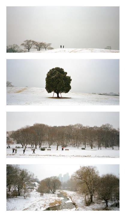 Four landscape images show a snowy park with trees, people, a river, and distant buildings under a white sky.