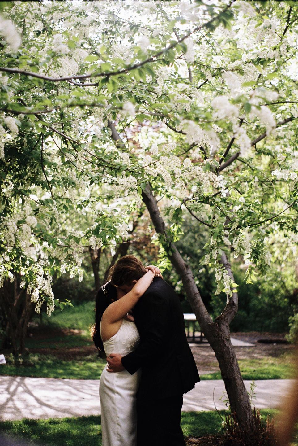 A couple embraces under a tree with white blossoms.