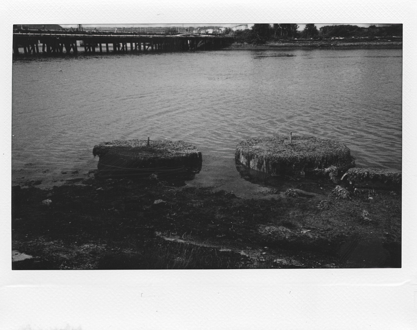 Two moss-covered shapes are partially submerged in water with a bridge in the background.