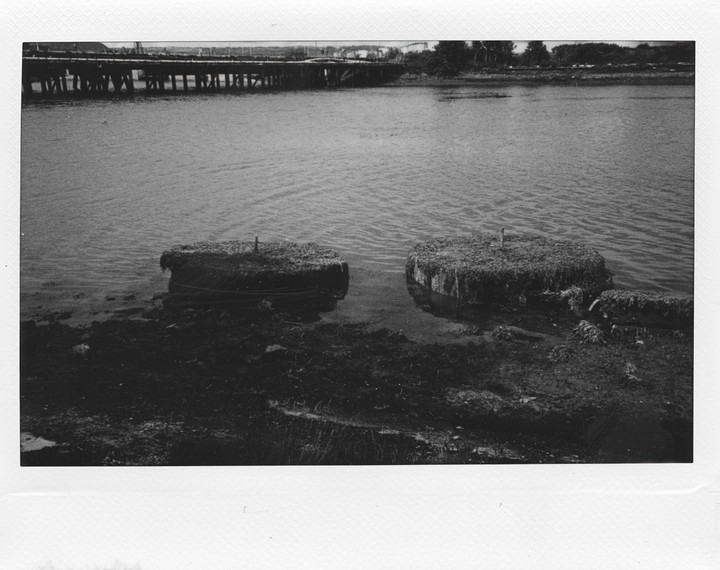 Two moss-covered shapes are partially submerged in water with a bridge in the background.