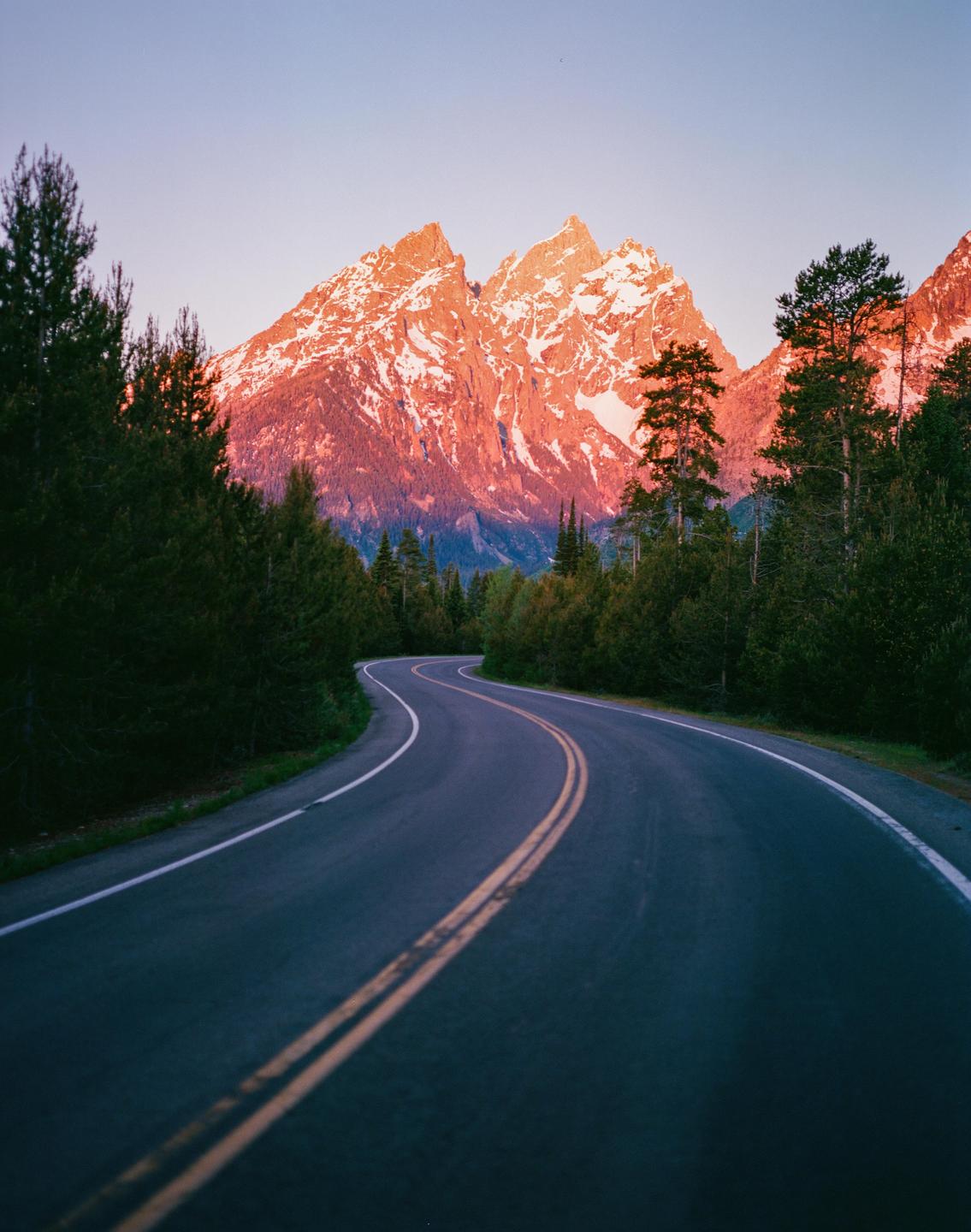 A winding road leads towards snow-capped mountains illuminated by the setting sun, with pine trees lining the sides.