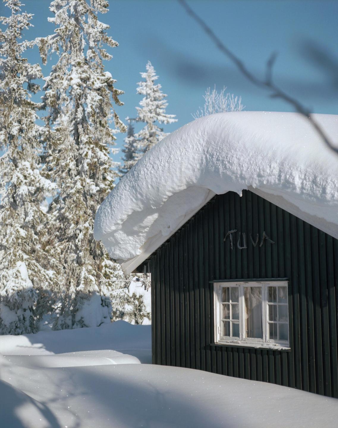 A small dark cabin with a snow-covered roof stands in a snowy landscape with pine trees under a clear blue sky.