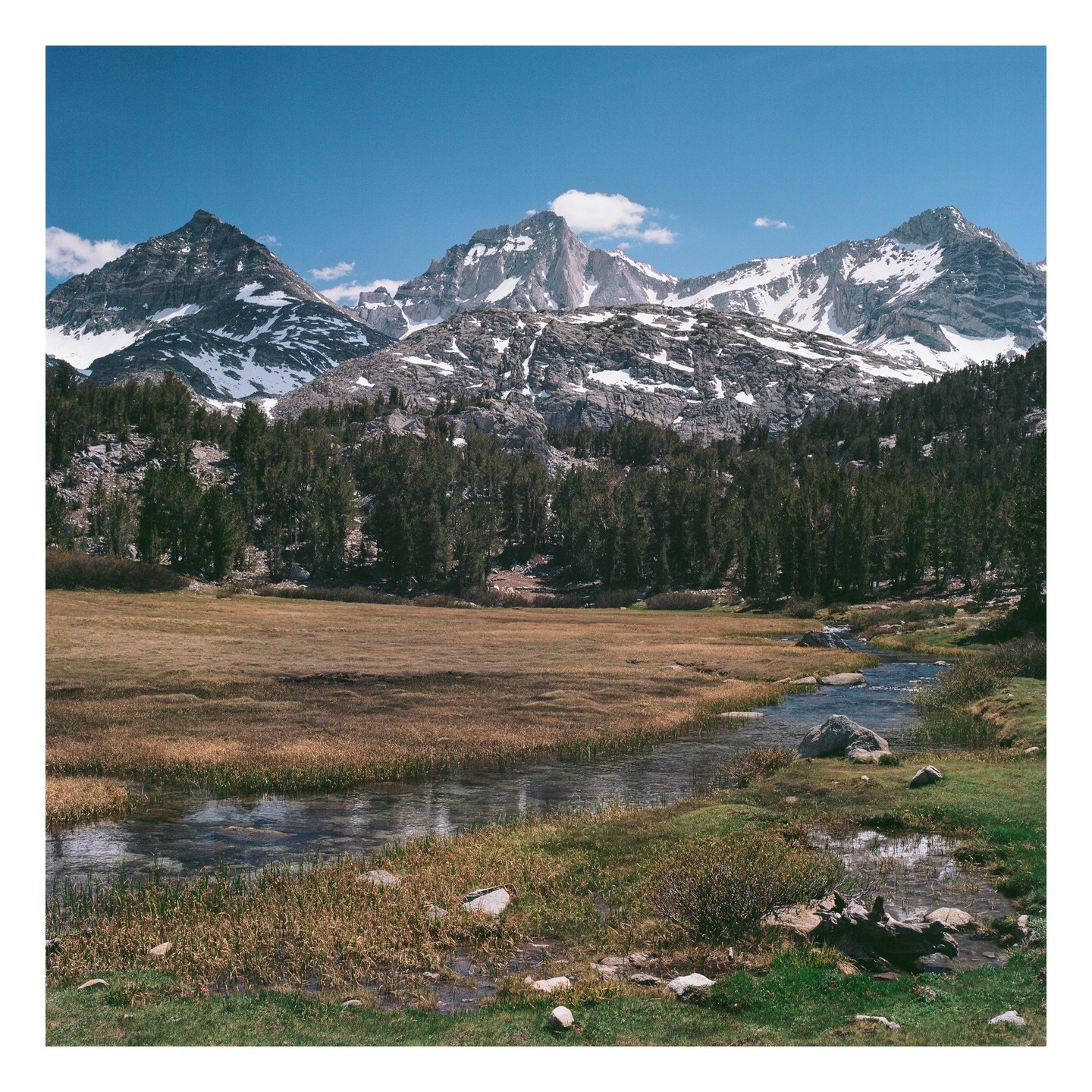 A stream flows through a meadow with snow-capped mountains and a forest in the background.