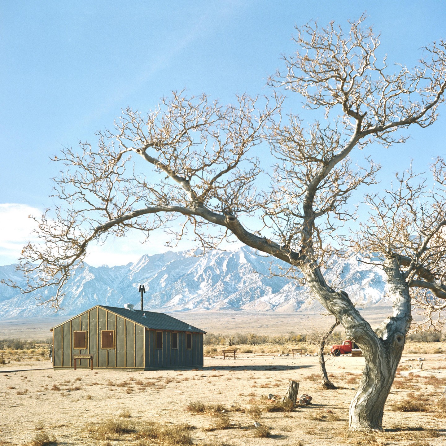 A bare tree frames a small building in a desert landscape with snow-capped mountains in the distance.
