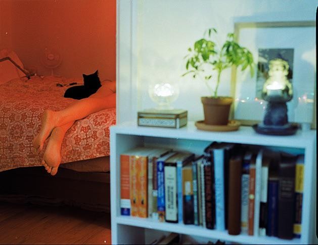A black cat rests on a person's legs on a bed next to a white bookshelf with books and plants.