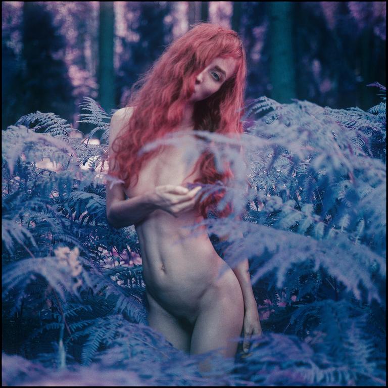 A nude woman with long red hair stands among purple ferns in a forest.