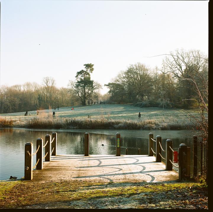 A wooden dock extends into a lake with a frost-covered field and trees in the background.