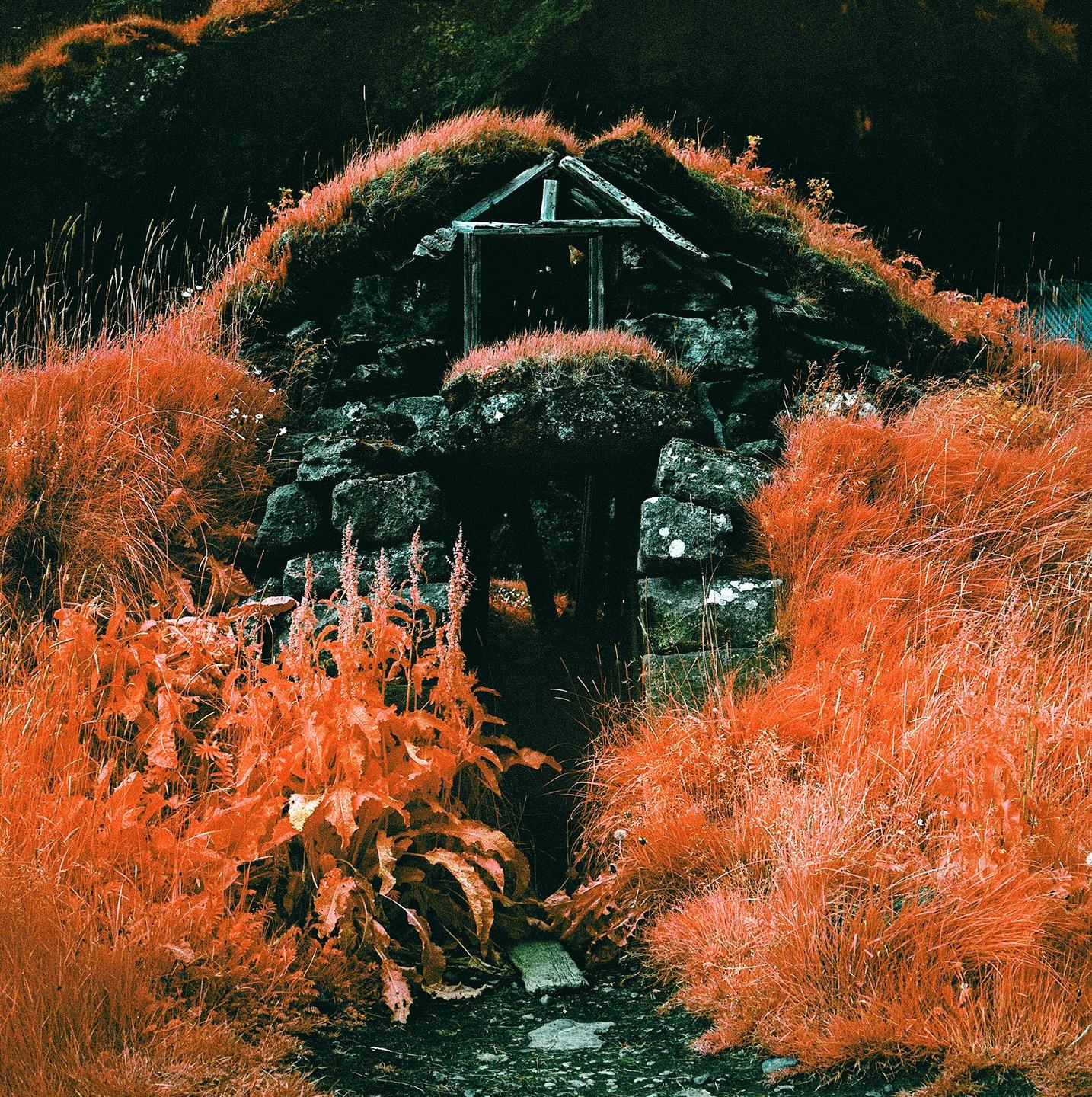 A small turf house with a stone base is surrounded by bright orange grass and plants.