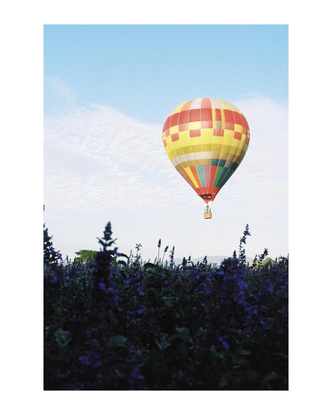 A colorful hot air balloon floats above a field of purple flowers under a blue sky.