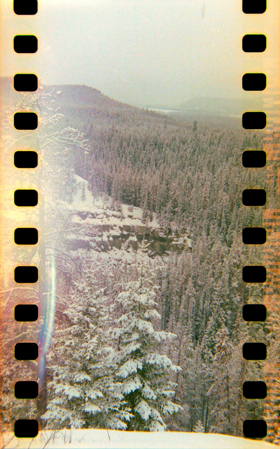 A snow-covered forest stretches across a valley with a rocky cliff face visible in the middle ground.