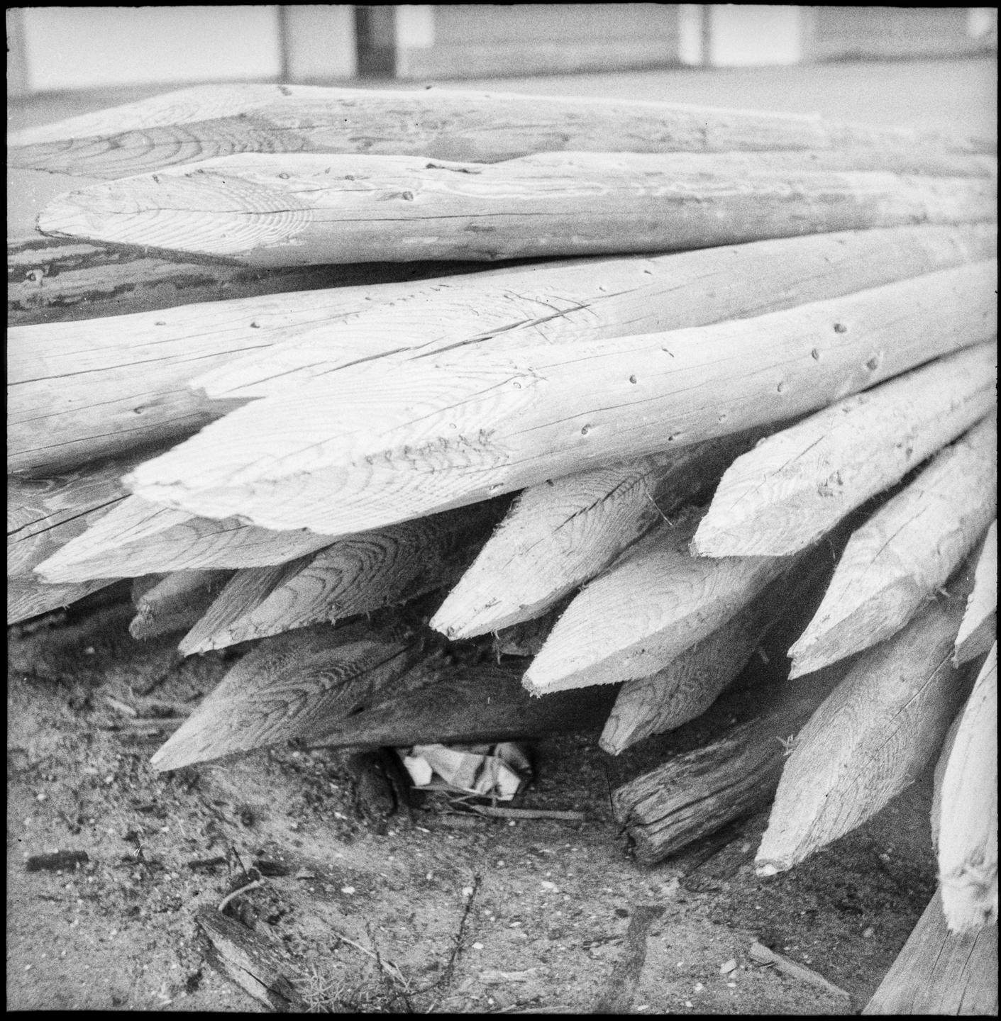 A pile of sharpened wooden posts lies on the ground.