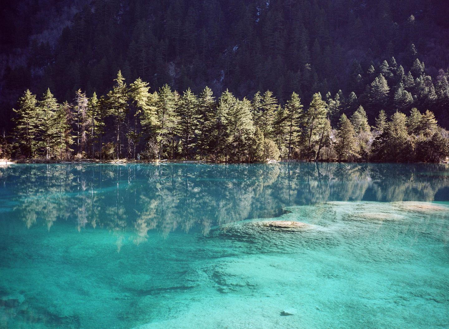 A line of evergreen trees is reflected in a clear turquoise lake with a dark forest in the background.