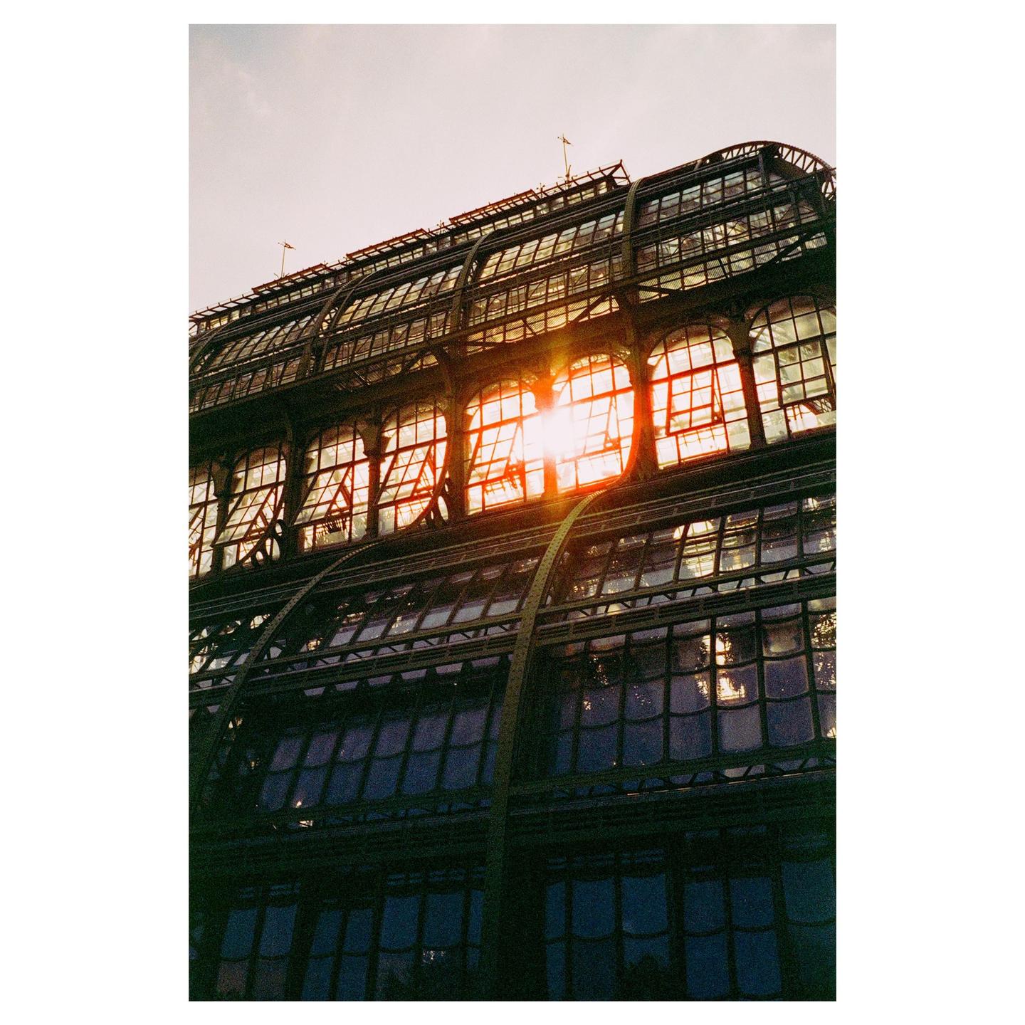 The sun shines brightly through the windows of a large glass building.