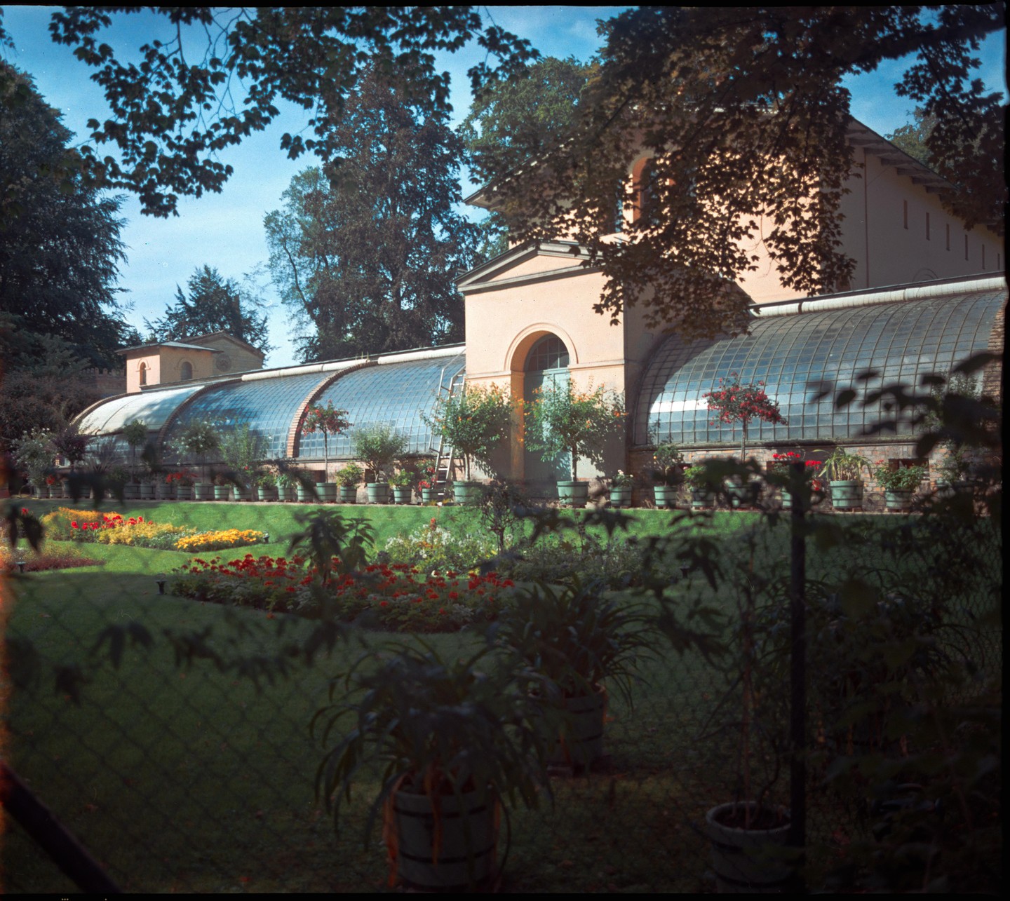 A large greenhouse with a curved glass roof stands behind a manicured garden with colorful flowers and potted plants.