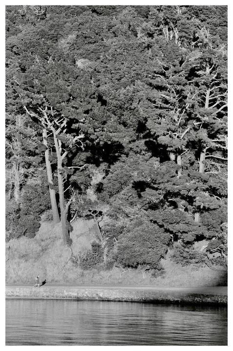 A jogger runs along a path next to a body of water with a dense forest in the background.