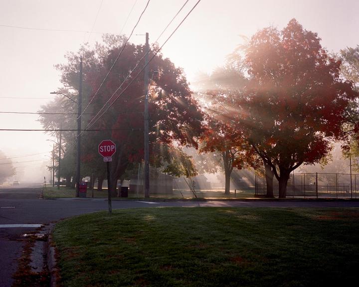 Sunlight streams through trees with autumn foliage on a hazy morning street.