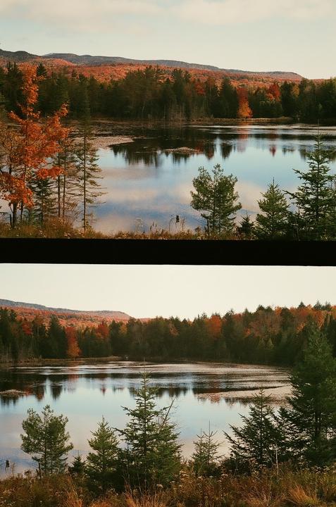 A lake is surrounded by a forest with autumn foliage under a cloudy sky.
