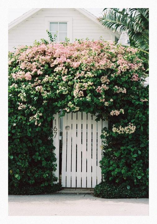 A white picket gate is surrounded by lush green foliage and pink flowers, with a white house visible in the background.