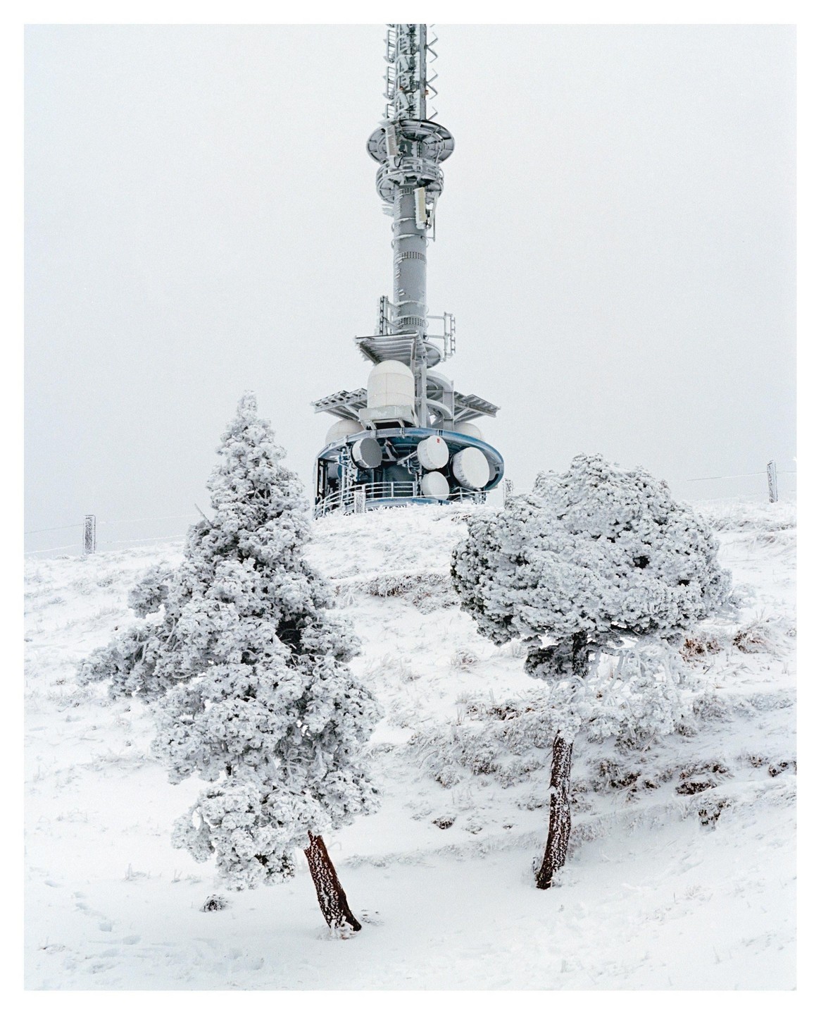 A tall communication tower stands on a snow-covered hill with two snow-laden trees in the foreground.
