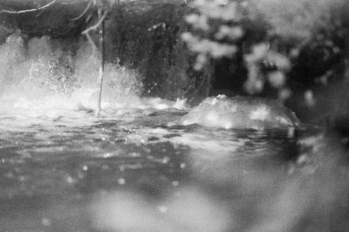 Water splashes and foam are visible in a body of water, with a branch extending into the frame from above.