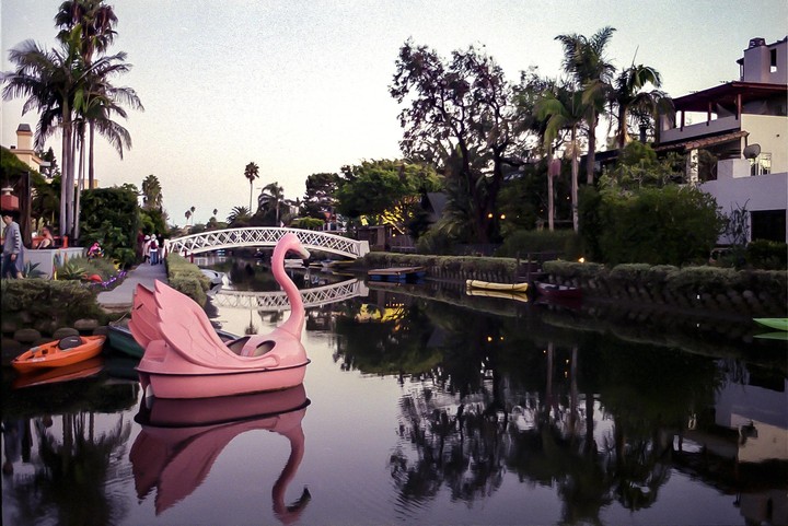 A pink flamingo pedal boat floats on a canal with a white bridge and palm trees in the background.
