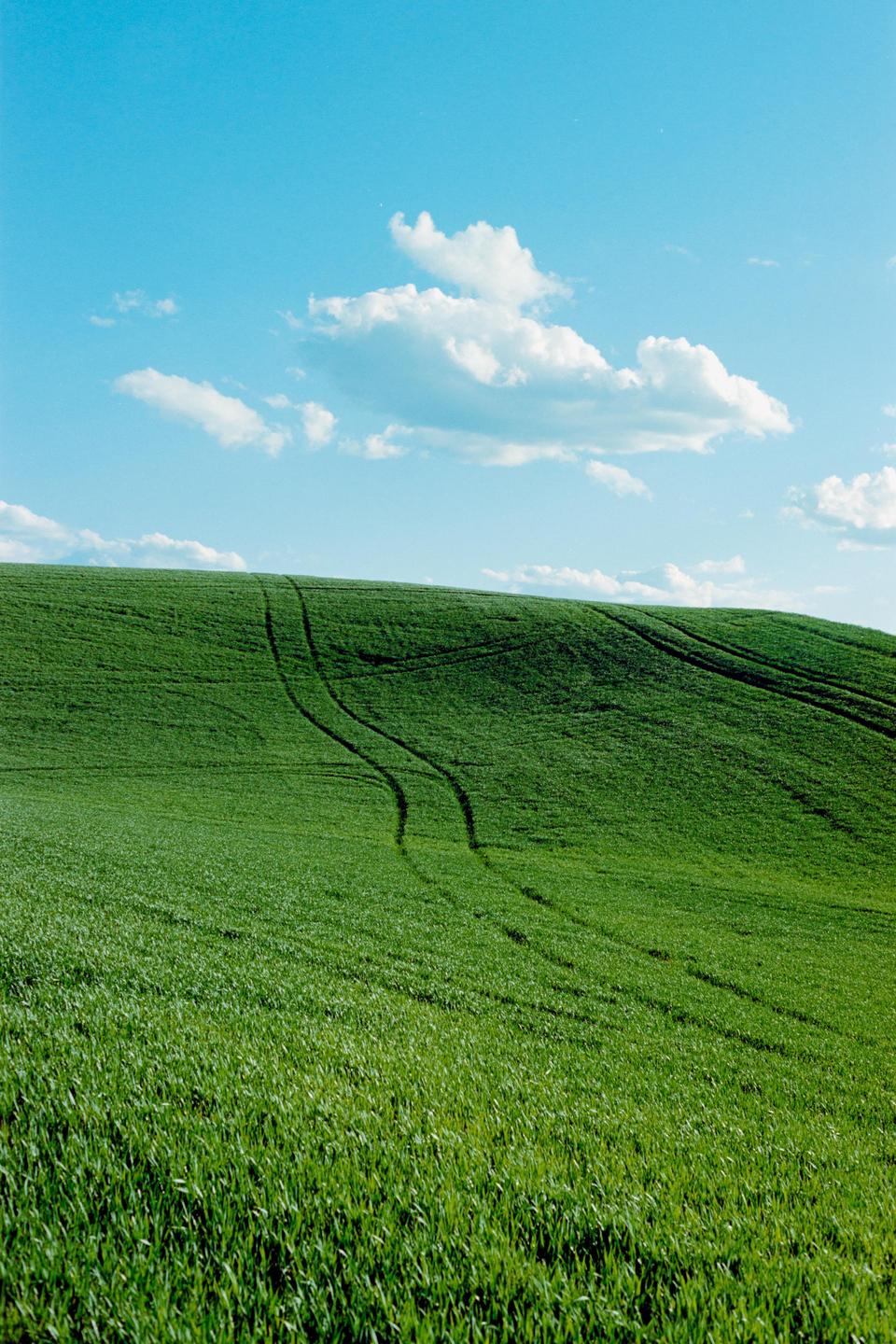 Tire tracks curve through a vibrant green field under a bright blue sky with fluffy white clouds.