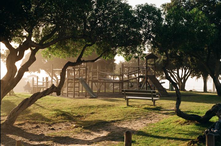 A wooden playground with a slide and climbing structures is nestled among trees with sunlight filtering through the leaves.