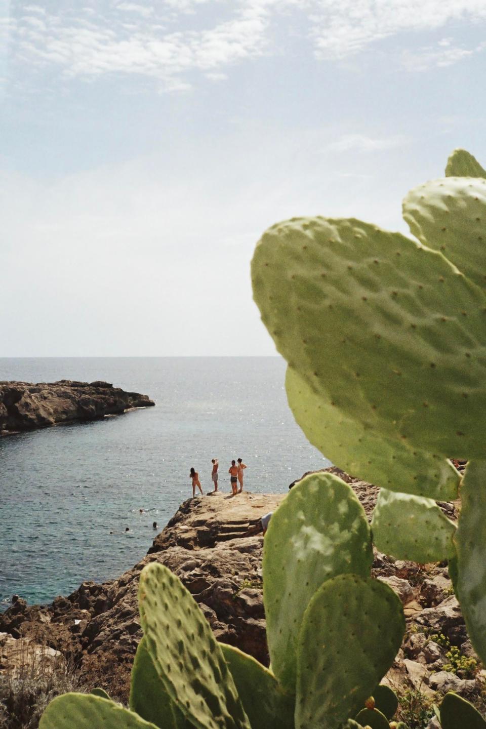 A group of people stand on a rocky cliff overlooking the ocean, with a large cactus in the foreground.