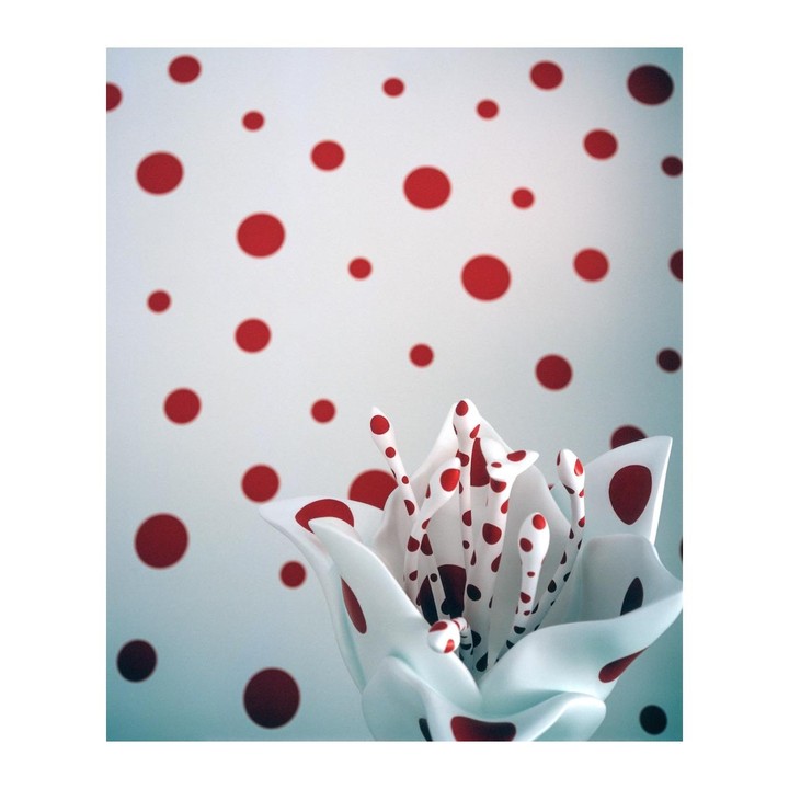 A white flower with red polka dots is in the foreground, with a white background covered in red polka dots.