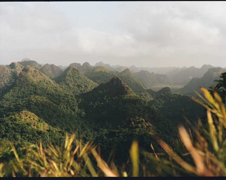 A hazy landscape shows many tree-covered mountains under a bright sky, with some foliage in the foreground.
