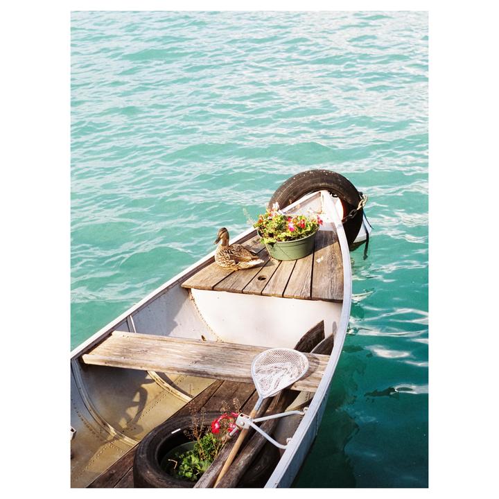 A duck sits on the wooden deck of a small boat floating on turquoise water, next to a pot of flowers.