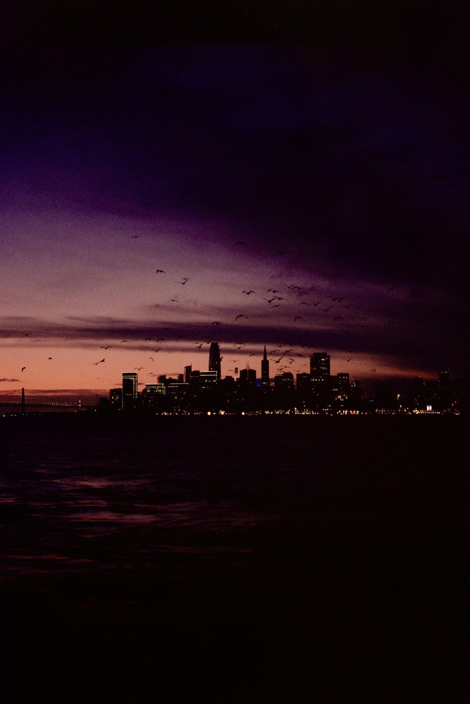 A flock of birds flies over a city skyline at dusk, with a bridge visible in the distance.