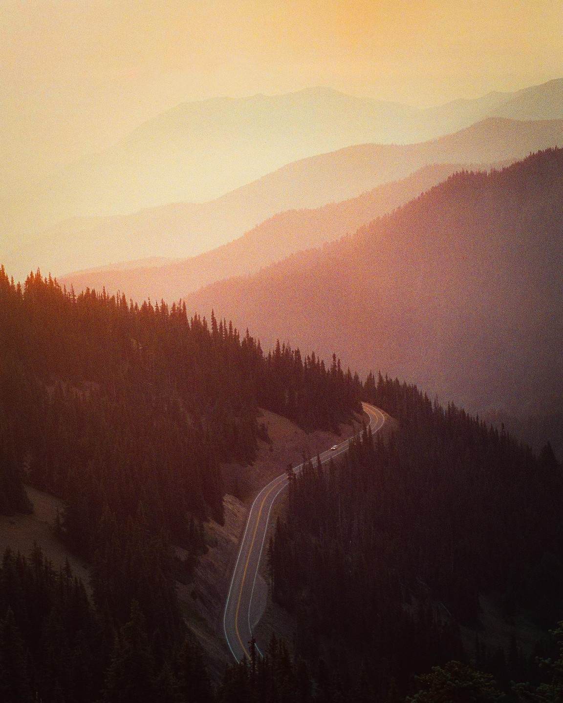 A winding road cuts through a dense forest on a mountainside with layers of mountains in the background during golden hour.